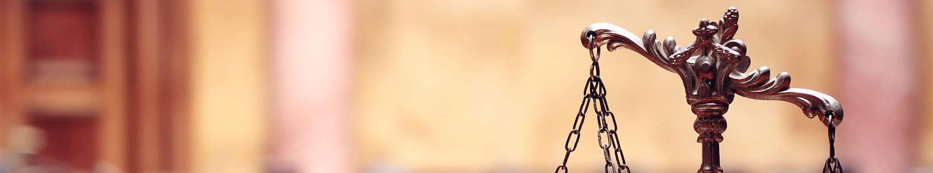 專業領域