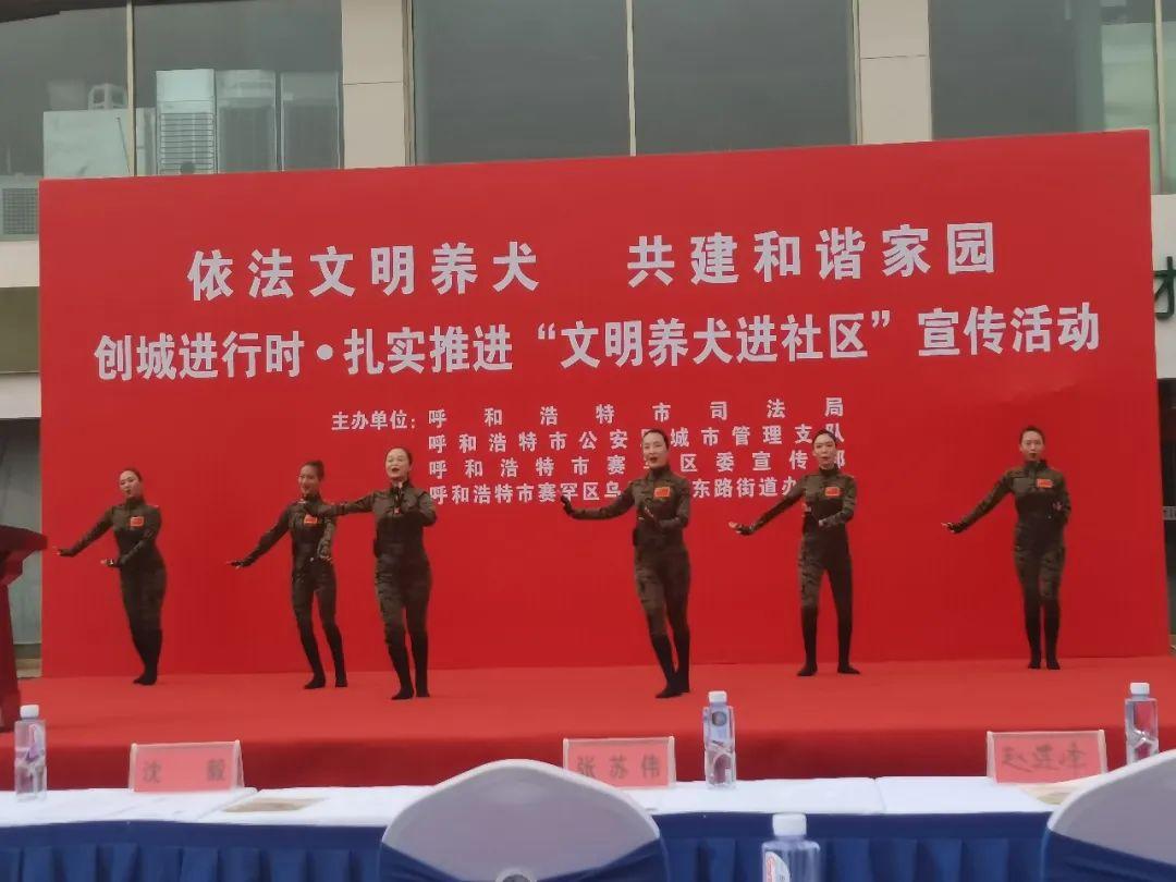 盈科動態｜盈科呼和浩特律所參加“依法文明養犬 共建和諧家園”宣傳活動